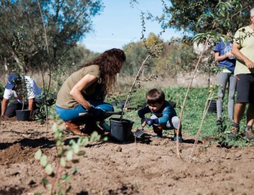 plantação de floresta Miyawaki