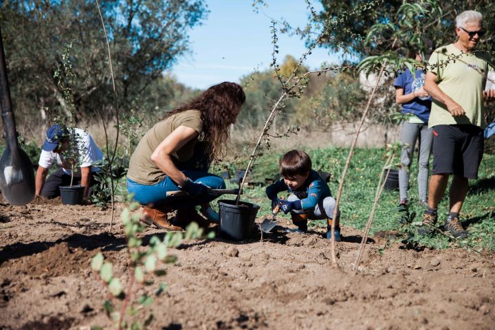 plantação de floresta Miyawaki