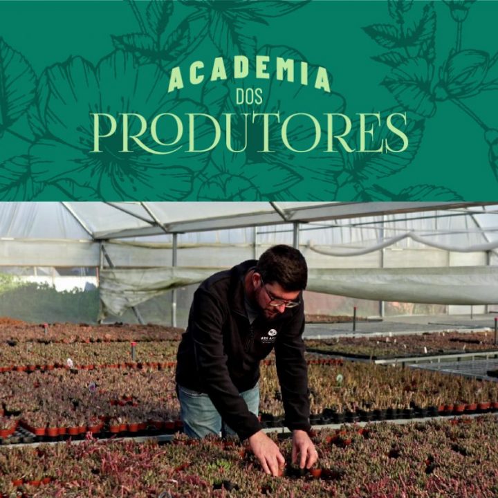 Academia dos Produtores: Verde-Azeitona