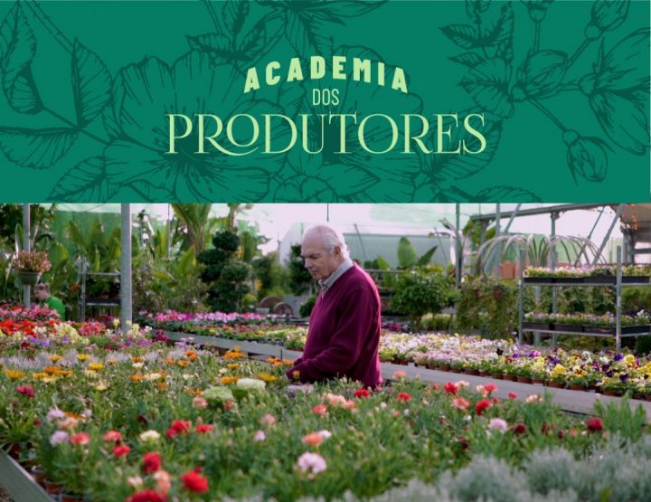 Video Academia dos produtores: viplant