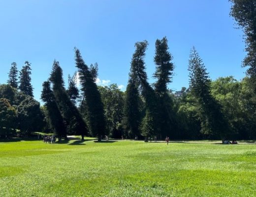 JARDIM BOTANICO DE PERADENIYA