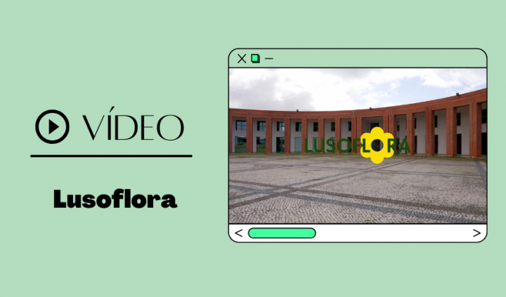 Lusoflora