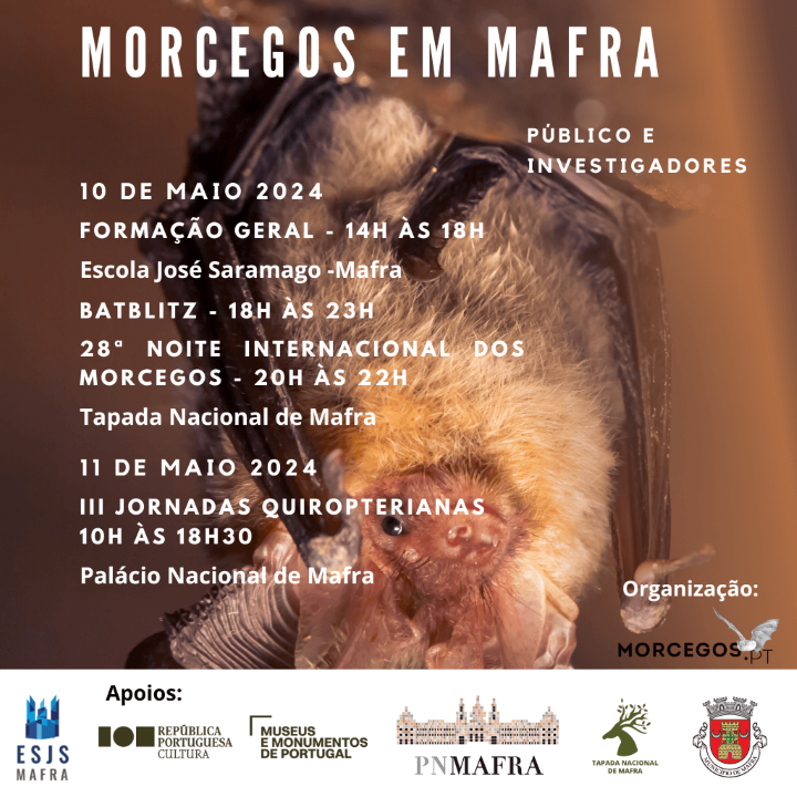 Morcegos no Palácio de Mafra