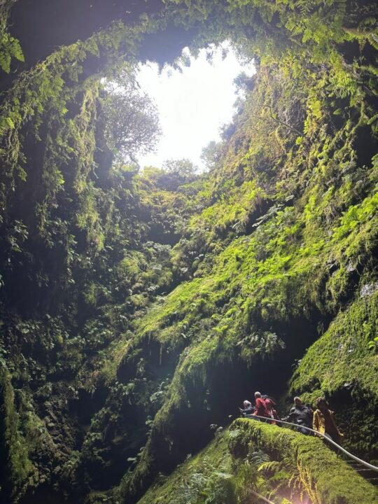 ALGAR DO CARVÃO