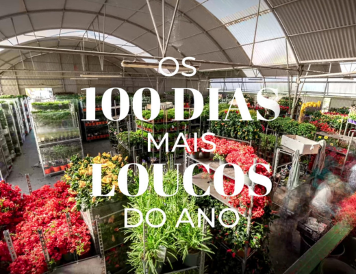 Capa do vídeo 'Os 100 dias mais loucos do ano' na Viplant