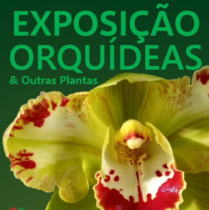 Exposição de orquídeas 2024