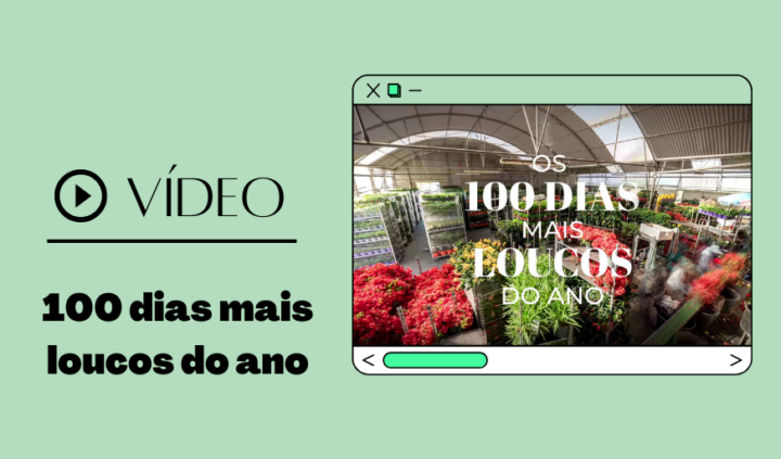 Destaque site - video Os 100 dias mais loucos do ano