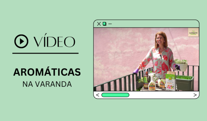 VIDEO AROMÁTICAS NA VARANDA