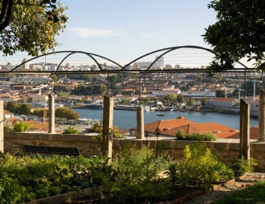 Jardim da Casa Camélia, Porto