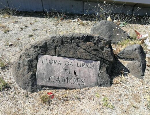 Pedra com escritos "Flora da lírica de Camões"