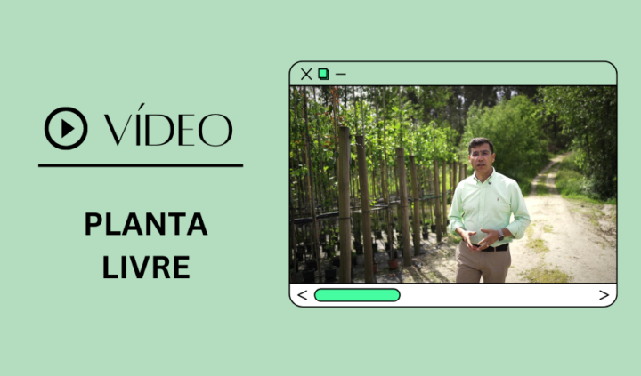 Destaque vídeo academia dos produtores planta livre