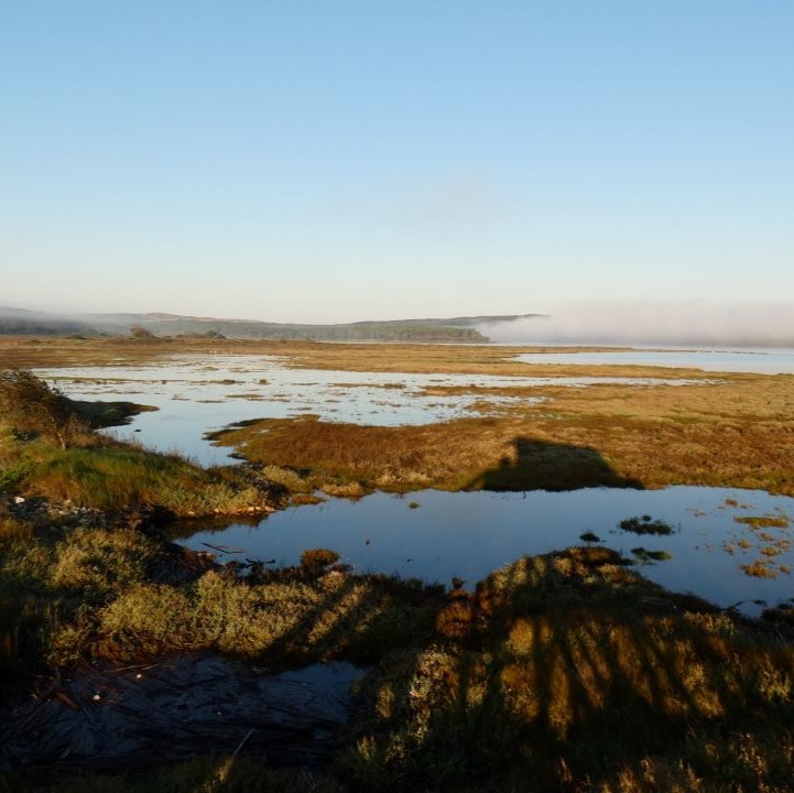 Lagoa de Óbidos - SPEA