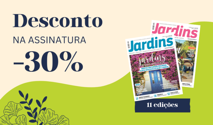 Campanha assinaturas