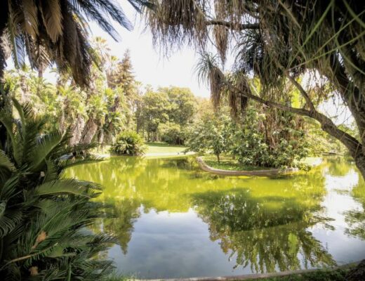 lago principal do jardim botânico tropical