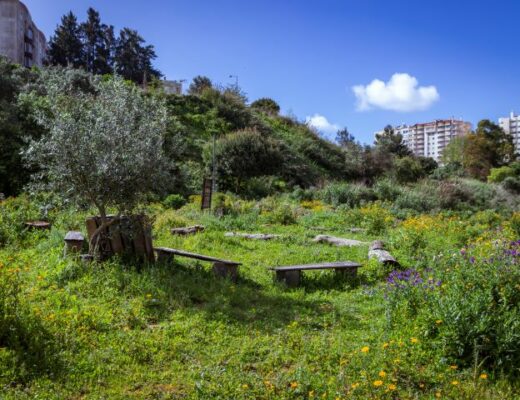 URBEM Florestas urbanas, de claupereira