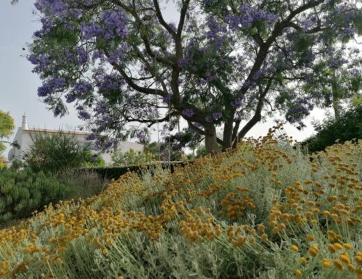 Jardim projetado por teresa chuva