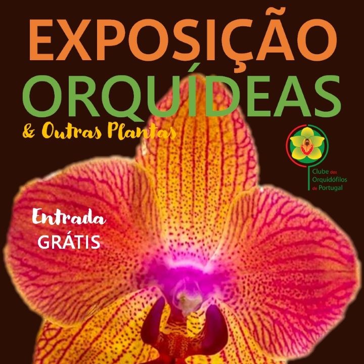 Poster de exposição de orquídeas