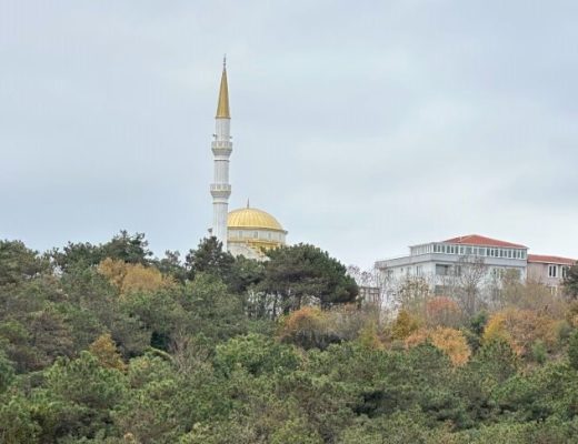 FLORESTA URBANA DE ISTAMBUL