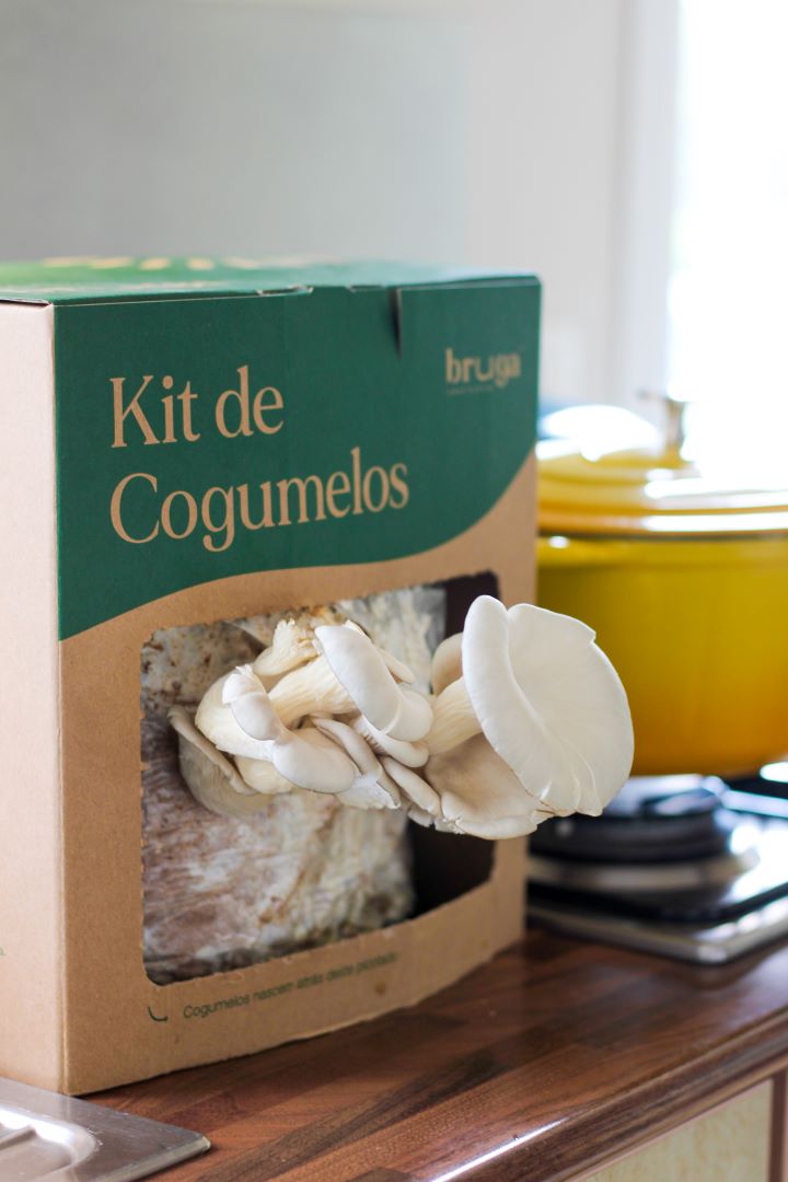 kit de cultivo de cogumelos da Bruga