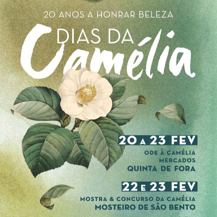 Dias da Camélia