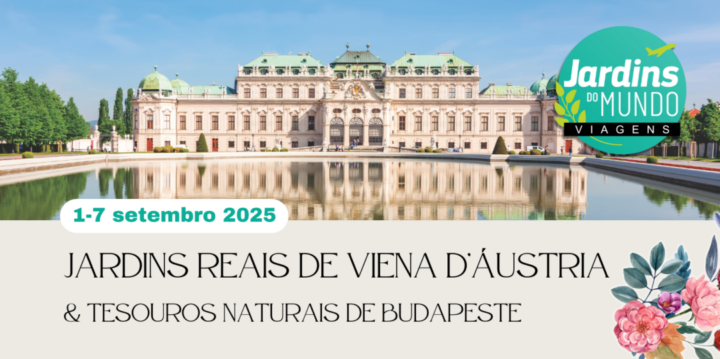 viagem a viena d'austria em 2025
