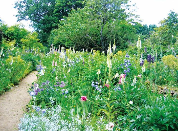 JARDIM DE MUNSTEAD WOOD DE GERTRUDE JEKYLL