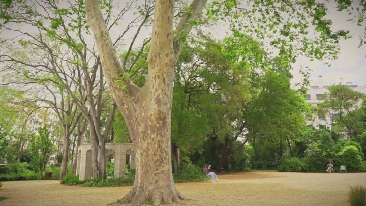 Jardim da Gulbenkian