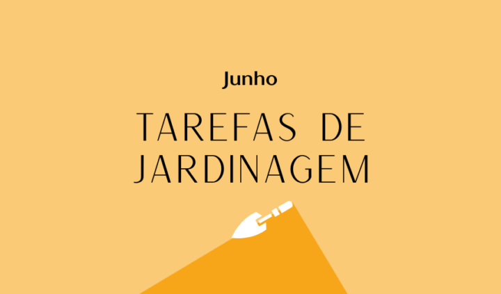tarefas de jardinagem junho