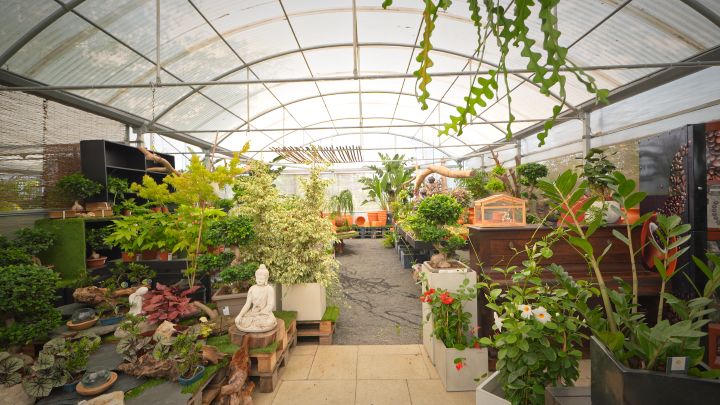 relva pura garden center showroom