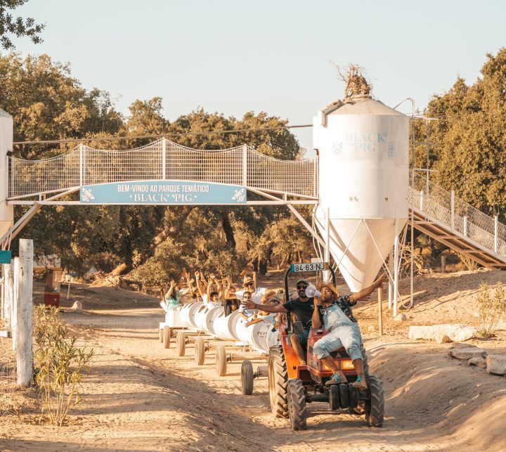 Comboio na vila do gin Black Pig
