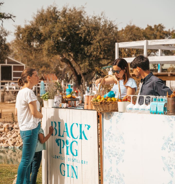 Vila do gin Black Pig na Costa Alentejana