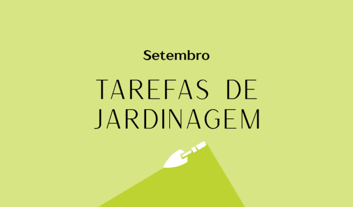 tarefas de jardinagem para setembro