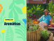 capa do video espiral de aromaticas einhell