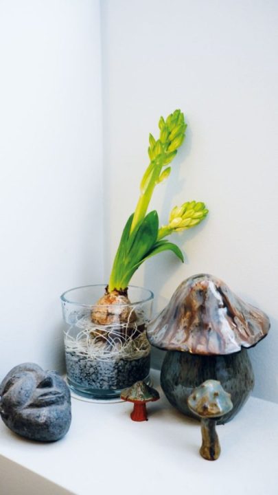 arranjo de bolbos em taça de vidro