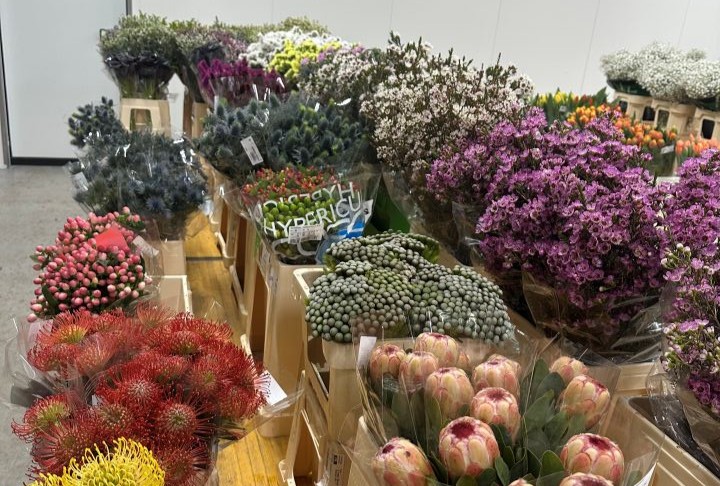 Flores de corte