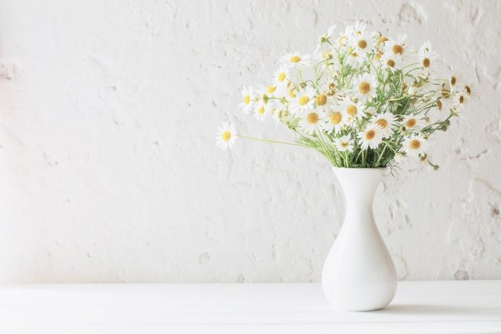 Flores de camomila em jarra branca, são calmante para ajudar com a ansiedade causada pelo regresso à escola.