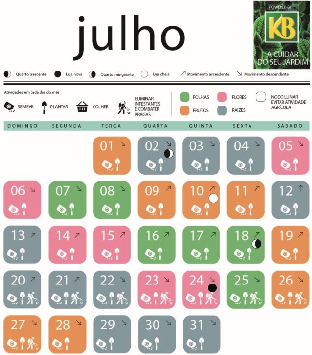 calendario lunar julho 2025