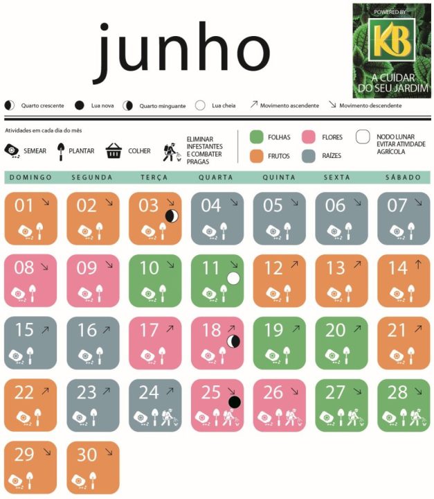 calendário lunar biodinâmico de junho de 2025