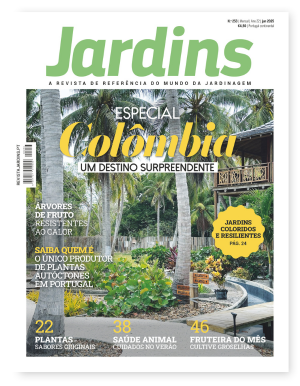 Nº 253 - Junho, 2025