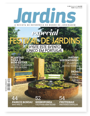 Nº 254 - Julho, 2025