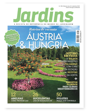 Nº 257 - Outubro, 2024