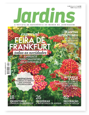 Nº 251 - Abril, 2025
