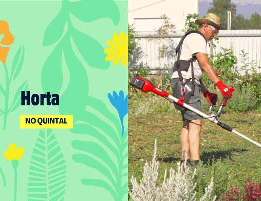 Capa do vídeo Horta no Quintal