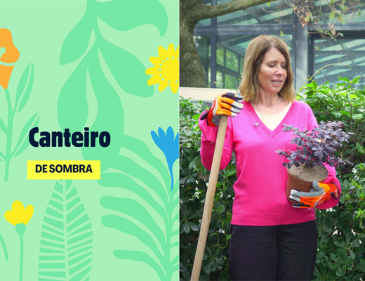 capa do vídeo canteiro de sombra, patrocinado pela husqvarna