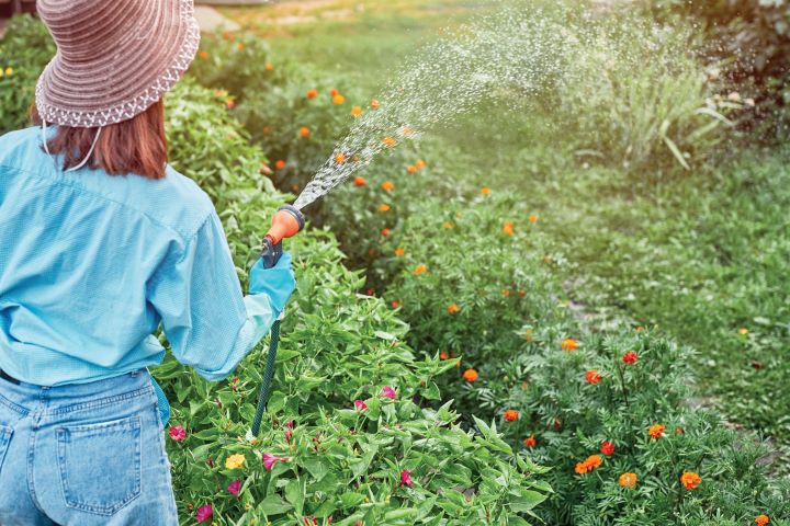 Regar o jardim, a horta e o pomar