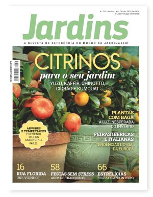 Nº 259 - Dezembro, 2025