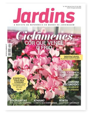 Nº 260 - Fevereiro, 2026