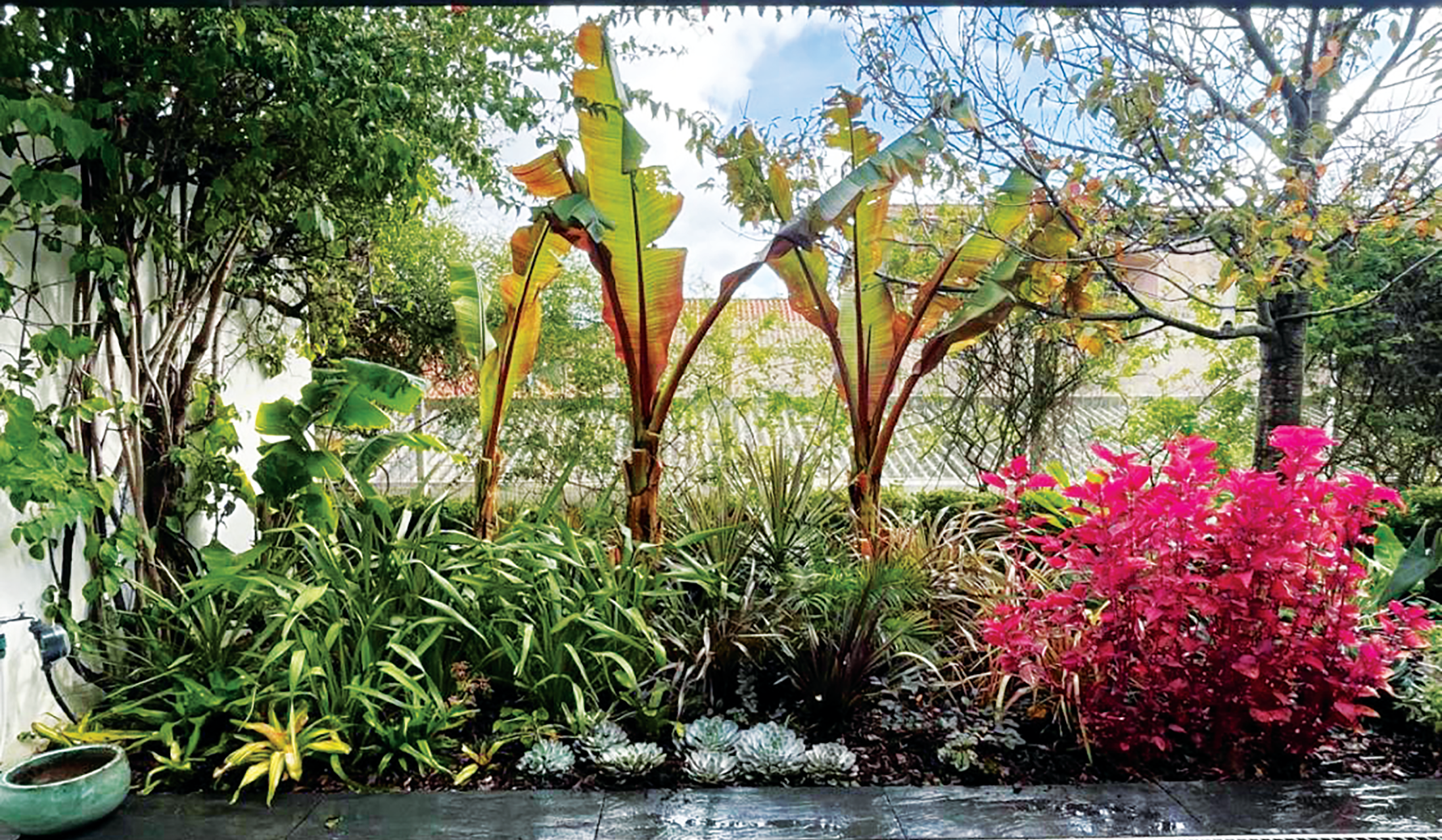 terraço tropical em lisboa por nuno prates