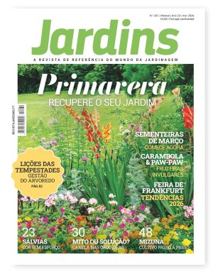 Nº 261 - Março, 2026