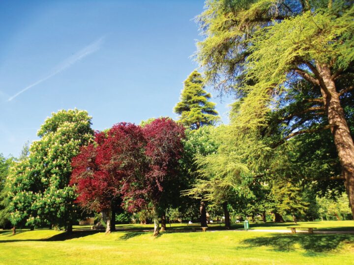 parque